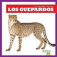 Los guepardos (Cheetahs) (Bullfrog Books Spanish Edition) (Los Grandes Felinos/ Big Cats)