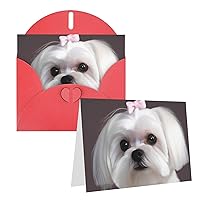 Lovely Maltese Dog Printed Greeting Card Internal Blank Folded Cards 6×4 Inches Funny Birthday Cards Thank You Card With Colorful Envelopes For All Occasions
