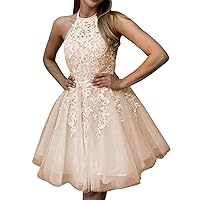 Lawrncedw Appliques Short Prom Dress Laces Appliques Homecoming Dresses for Teens Mini Party Gowns
