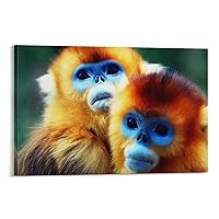 Lovely Golden Snub-Nosed Monkey Canvas Prints Personalized Wall Art Paintings Hanging Pictures for Home Office Decor 24x36inch(60x90cm)