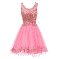 8th Grade Dance Dresses for Teens Tulle Puffy Short 15 Party Dress Hot Pink,8
