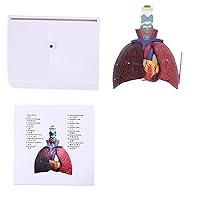 Life Size Human Lung Model Anatomical Respiratory System Anatomy Teaching Tool Skeleton