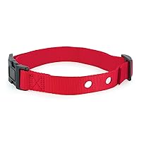 PetSafe 1 Inch Replacement Collar Strap with 2 Holes, for Wireless Fence and In-Ground Fence Collars - Red