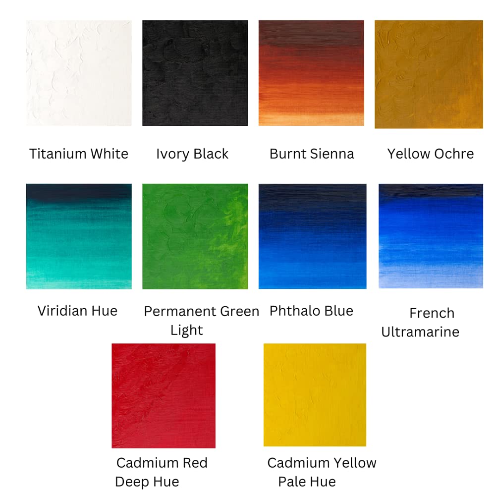 Winsor & Newton Winton Oil Color Paint, Starter Set, 10 x 37ml Tubes, 1.25 Fl Oz (Pack of 10)
