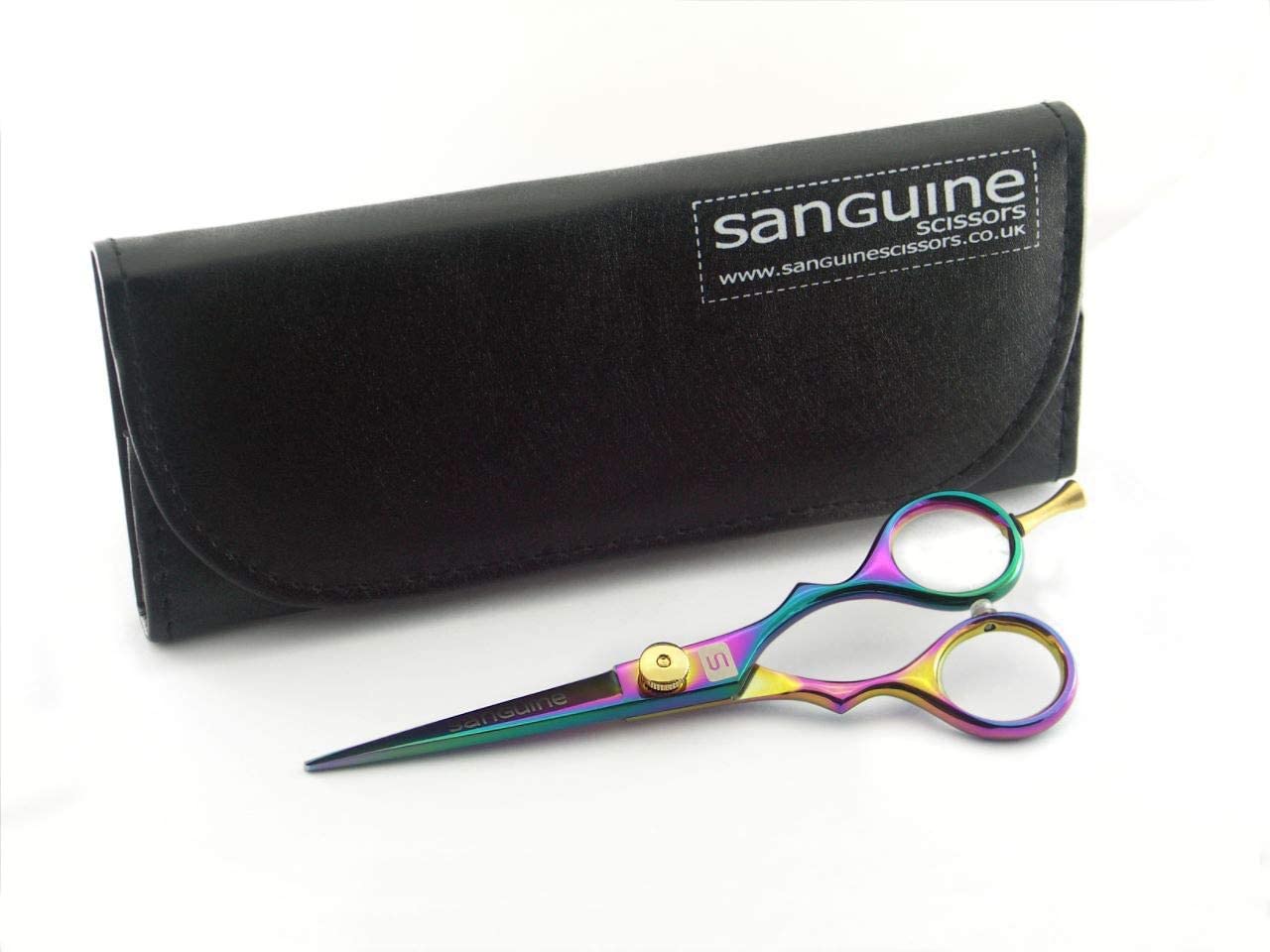 Hair Scissors for all Hair Types, 5.5 inch, Presentation Case & Tip Protector. Suitable for Hairdressers, Barbers, Professionals, Personal Use and for Beard or Moustache Trimming. Titanium