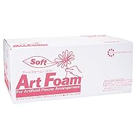 Smithers Oasis Flower Materials Art Foam Soft GZ000210 Pack of 20