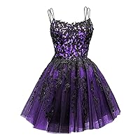 Gothic Black Spaghetti Straps Tulle Homecoming Dresses 2024 Short Lace Appliques Prom Dresses for Teens Pockets