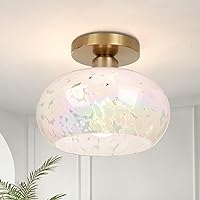 FRIDEKO HOME Semi Flush Mount Ceiling Light with Rainbow Glass Shade - Hallway Lighting Fixtures Modern Close to Ceiling Light Fixtures for Kitchen Living Room Bathroom Entryway