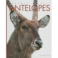 Amazing Animals - Classic Edition: Antelopes Hardcover Amazing Animals - Classic Edition: Antelopes Hardcover Library Binding Paperback