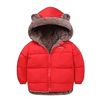 Toddler Boys Girls Winter Coat Bear Ears Hooded Snowsuit Wear Fleece Thicken Windproof Zipper Lightweight