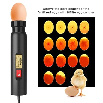 Bright Cool LED Light Egg Candler Tester, Power by Power Supply