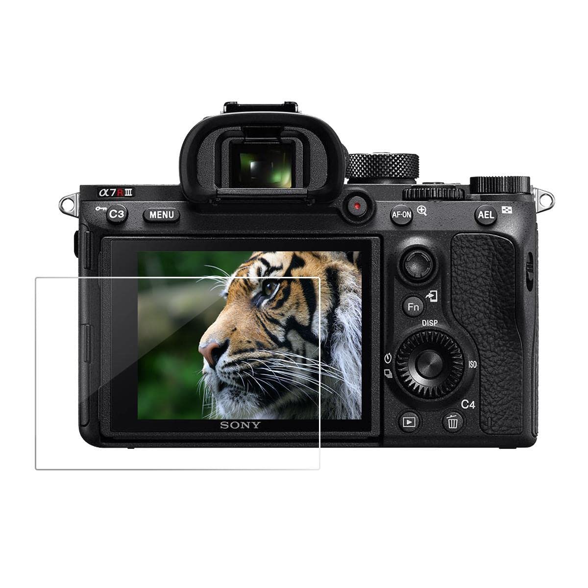 Sony Alpha a7S III Mirrorless Digital Camera Body, Bundle with DJI Ronin-SC Gimbal Kit