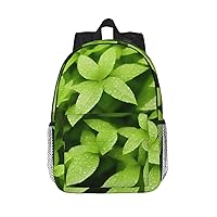Leaf Backpack Lightweight Casual Backpack Double Shoulder Bag Travel Daypack With Laptop Compartmen