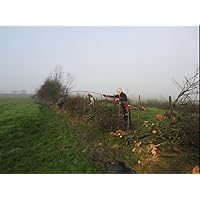 How to lay a hedge in the South of England style: An ideal guide after you have completed a face to face training session How to lay a hedge in the South of England style: An ideal guide after you have completed a face to face training session Kindle