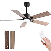 48 Inch Black Ceiling Fans with Lights,Remote Control,5 Piece Double Side Blades,3 Color LED Light,6 Speeds,Quiet DC Motor,Indoor or Outdoor,forBedroom,Farmhouse,Office,Patio