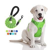 PoyPet No Pull Dog Harness and 5 Feet Leash Set, Release on Neck Reflective Adjustable Pet Vest, Front & Back 2 D-Ring and Soft Padded Pet Harness with Handle for Small to Large Dogs(Green,M)