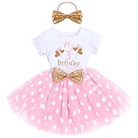 Girls Baby 1st 2nd 3rd Birthday Outfit Mouse Polka Dots Wild ONE Party Ruffle Tulle Dress Headband 2PCS Skirt Costume Toddler Princess Photo Shoot Fancy Cake Smash Clothes Set Ball Pink Dots-3rd 3T
