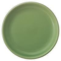 Koyo Pottery 11170004 Cafe Dish, Pasta Plate, Curry Plate, Plate, 9.1 inches (23 cm), Dinner Plate, Meat Plate, Hotel Restaurant Specifications, Microwave, Dishwasher Safe, Countryside, Plain, Jade,
