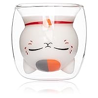 Anime Natsume’s Book of Friends Nyanko Sensei Cute Mugs Double Wall Insulated Glass Coffee Tea Milk Cup Office Cup Best gift for Christmas Birthday Gift