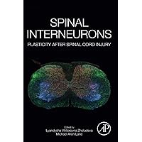Spinal Interneurons: Plasticity after Spinal Cord Injury Spinal Interneurons: Plasticity after Spinal Cord Injury Paperback Kindle