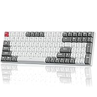RK ROYAL KLUDGE RK100 Wireless Mechanical Keyboard RGB Backlit Bluetooth5.1/2.4G/Wired 96% Full Size 100-Key Hot-swap Gaming Keyboard with 3 USB Ports Brown Switch for Mac Windows Classic