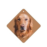 Golden Retriever 2-Piece Set Of Car Aromatherapy Tablets, Suitable For Car Interiors, Bedrooms, And Bathrooms Square