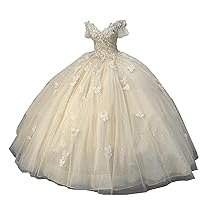 Quinceanera Dress Sparkling Butterfly Long Ball Gown Prom Dress Lace Appliques Party Ball Gown Sweet 15 Dress
