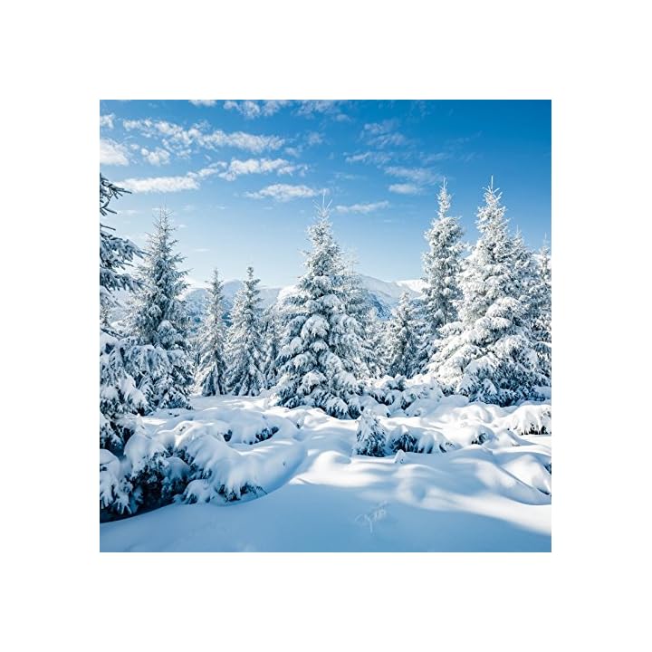 Leyiyi mang đến cho bạn một nền phông ảnh đắm say với những ngọn đồi tuyết phủ trắng, tuyết tan trên cây lá, tất cả đều đẹp như cổ tích. Nét chân thực của hình ảnh như đưa ta đến một nơi tách biệt với xô bồ cuộc sống. Hãy cùng xem và tham gia vào trải nghiệm này để cảm nhận được không khí của mùa đông tuyết.