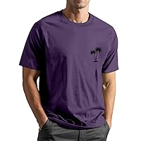 WENKOMG1 Mens Tshirts Shirt Summer Printed Casual Basic Crewneck Tee Short Sleeve Solid Lightweight Graphic T-Shirt