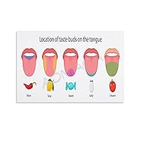 MOJDI Location of Taste Buds on The Tongue Poster CHINESE MEDICINE Poster (2) Canvas Painting Wall Art Poster for Bedroom Living Room Decor 12x18inch(30x45cm) Unframe-style
