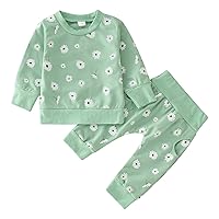 Infant Baby Girl Newborn Clothes Set Autumn Print Flower Long Sleeve Tops and Sleepwear Pants Outfits 2-piece