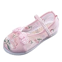 Toddler T Strap Sandals Girls Flat Bottomed Embroidered Sandals Fashionable Costume Children Toddler Girl Sandals