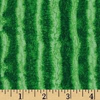 Timeless Treasures Watermelon Rind Stripe Green, Fabric by the Yard
