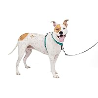 PetSafe 3 in 1 No-Pull Dog Harness For Medium Dogs - Walk, Train or Travel - Helps Pets from Pulling on Walks - Seatbelt Loop Doubles as Quick Access Handle - Reflective - Medium, Teal
