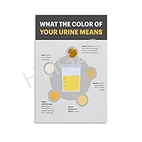 DFHEJG Hospital Examination Department Poster Urine Hydration Chart Art Poster (8) Canvas Painting Posters And Prints Wall Art Pictures for Living Room Bedroom Decor 12x18inch(30x45cm) Unframe-style