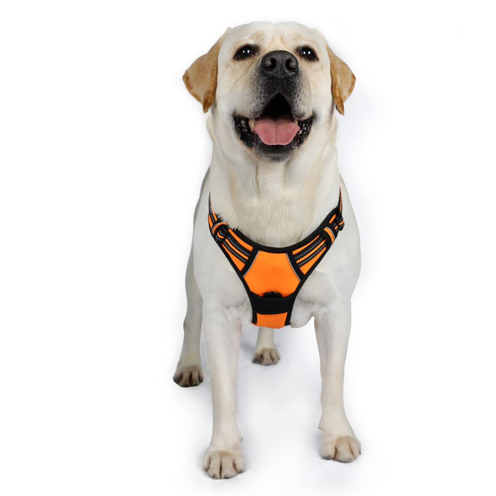 rabbitgoo Dog Harness, No-Pull Pet Harness with 2 Leash Clips, Adjustable Soft Padded Dog Vest, Reflective No-Choke Pet Oxford Vest with Easy Control Handle for Large Dogs, Orange, XL