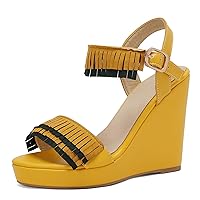 Wedges Heels for Women Platform Heel Tassel Ankle Strap Sandals Cute Open Toe Summer Shoes