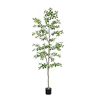 Faux Black Olive Tree 7ft, Tall Faux Trees Indoor with Natural Trunk and Realistic Leaves. 7 Feet(84in) Artificial Tree for Home Office Décor.