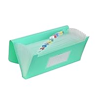 C-Line 13-Pocket Poly Expanding File, 10 x 5 Inches, Junior Size for Receipts and Checks, Includes Tabs, 1 File, Color May Vary (58710)
