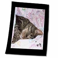3dRose Cute Sleeping Black Brown Tabby Cat Photo - Towels (twl-242445-2)