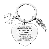 Xiahuyu Pet Memorial Keychain Pet Loss Gifts Loss of Dog or Cat Memorial Gifts Remembrance Gifts Sympathy Gifts for Loss of Dog Cat