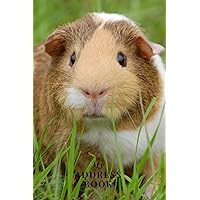 My Address Book: Cute Guinea Pig | Address Book for Names, Addresses, Phone Numbers, E-mails and Birthdays My Address Book: Cute Guinea Pig | Address Book for Names, Addresses, Phone Numbers, E-mails and Birthdays Paperback
