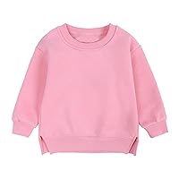 Toddler Kids Boys Girls Crewneck Sweatshirt Tops Spring Fall Solid Long Sleeve Pullover Blouses Clothes