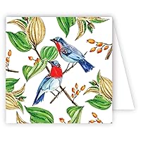 Collections Botanical Colorful Exotic Birds Hand Embellished Glittered Gift Enclosure Cards Box of 12 Assorted Cards with Envelopes