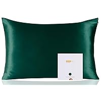 ZIMASILK 100% Pure Mulberry Silk Pillowcase for Hair and Skin Health,Soft and Smooth,Both Sides Premium Grade 6A Silk,600 Thread Count,with Hidden Zipper,1pc (Queen 20''x30'',Blackish Green)