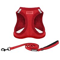 Voyager Step-in Plush Dog Harness – Soft Plush, Step in Vest Harness and Reflective Dog 5 ft Leash Combo with Neoprene Handle for Small and Medium Dogs by Best Pet Supplies -Set (Red Corduroy), XS
