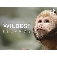Wildest: Islands