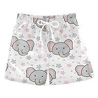 Cute Animals Boys Swim Trunks with Mesh Lining Toddler Swimwear Bathing Suit Quick Dry for Kids Adjustable Waist 2T-16