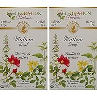 Celebration Herbals Organic Mullein Leaf Tea Caffeine Free - 2 Pack (48 Bags in Total)