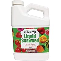 Original Liquid Seaweed, 1 Gallon (Packaging May Vary)